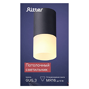 Накладной светильник Ritter Essen 52062 7